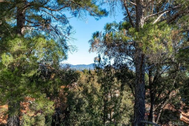 25912 Bellis, Valencia, CA 91355