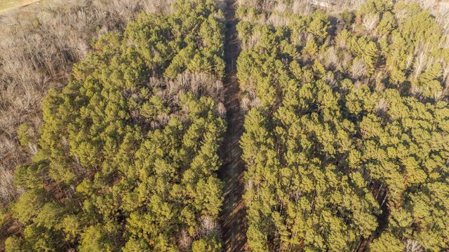 4343 GILCHRIST STANTONVILLE RD, Stantonville, TN 38379