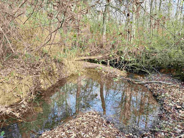 4343 GILCHRIST STANTONVILLE RD, Stantonville, TN 38379