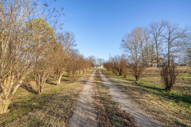 4343 GILCHRIST STANTONVILLE RD, Stantonville, TN 38379