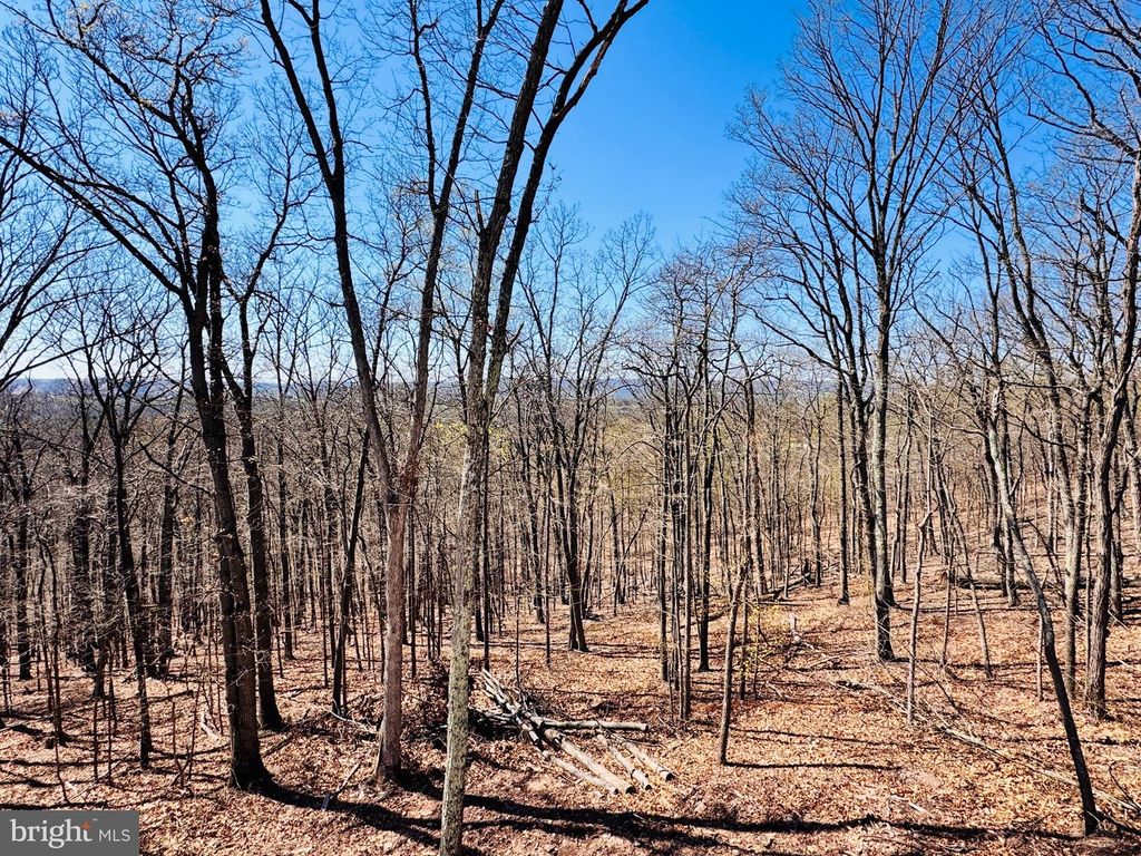 Image 2 of property listing at 4307 PIOUS RIDGE, Berkeley Springs, WV 25411