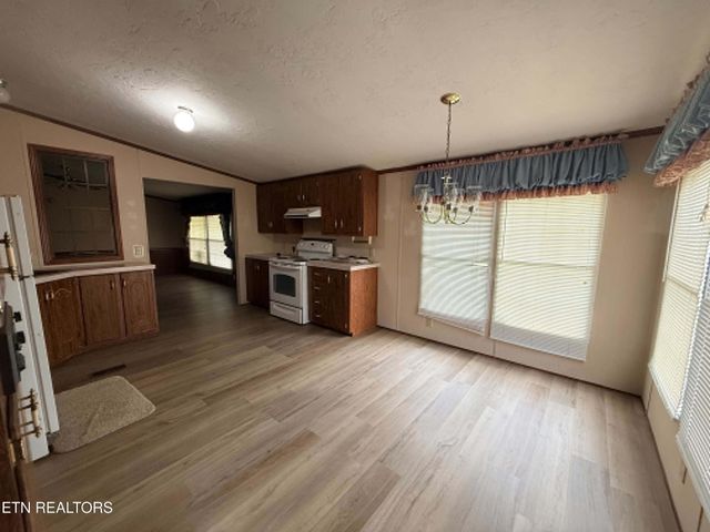 1243 Franklin Loop 5 acres, Clarkrange, TN 38553