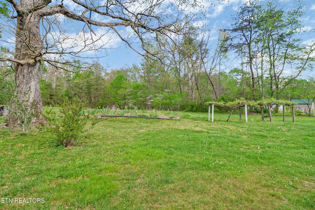 1243 Franklin Loop 5 acres, Clarkrange, TN 38553