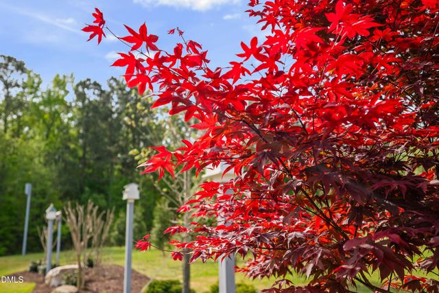 33 Barletta Court, Clayton, NC 27527