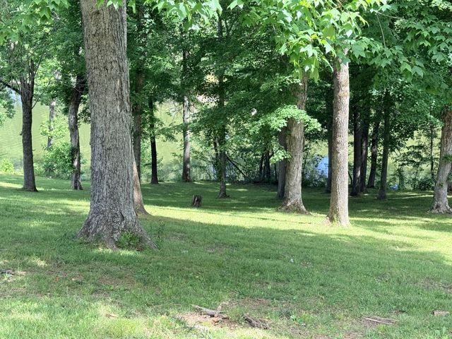 156 Lakeshore Cir, Bumpus Mills, TN 37028