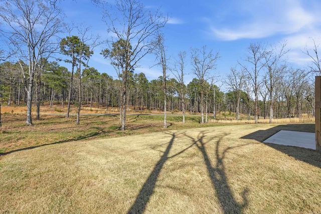 2940 Orchard View Drive, Conway, AR 72034