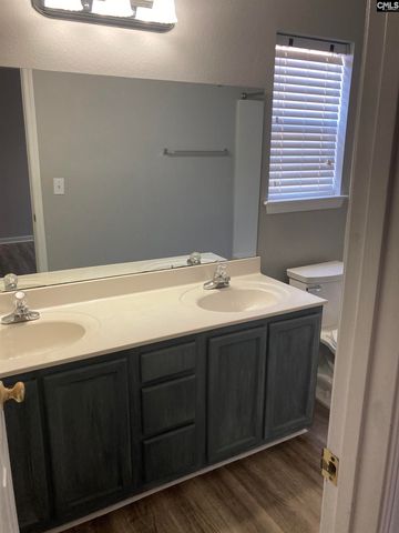 1 Summer Branch Court, Irmo, SC 29063