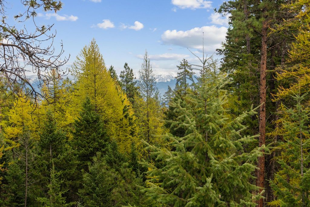 463 and 465 Deer Creek Road, Lakeside, MT 59922 photo 4