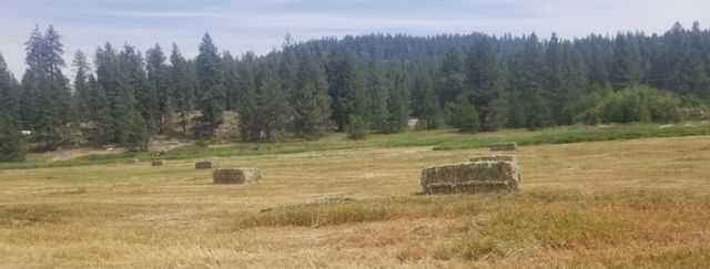 XXXX Hwy 211, Newport, WA 99156