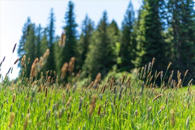 XXXX Hwy 211, Newport, WA 99156