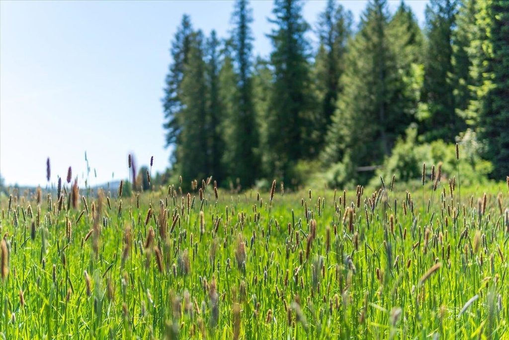 XXXX Hwy 211, Newport, WA 99156