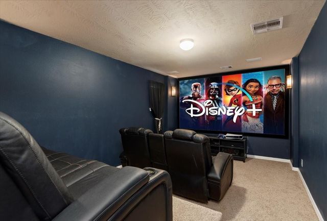 16102 Laura Beth Drive, Hockley, TX 77447