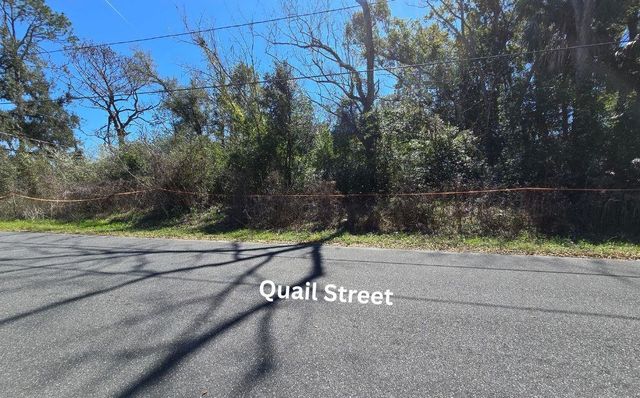 1302 S Center Street, Perry, FL 32348