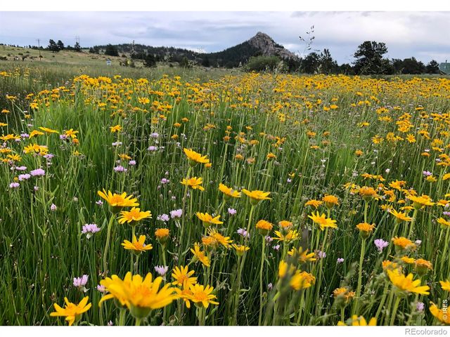 120 N Cucharas Mountain Court, Livermore, CO 80536