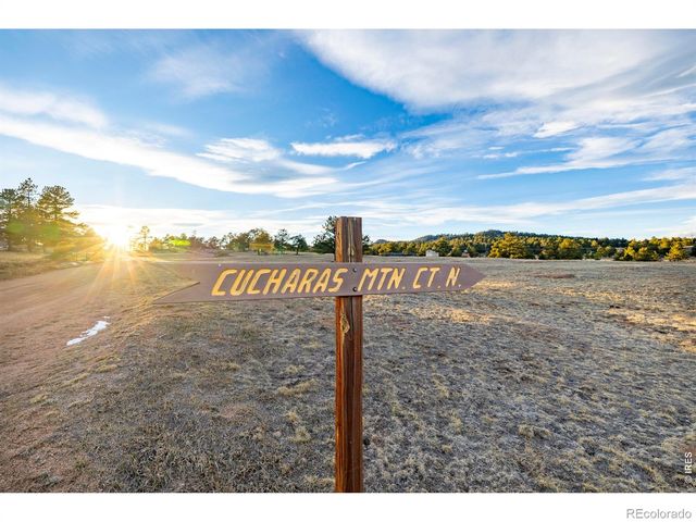 120 N Cucharas Mountain Court, Livermore, CO 80536