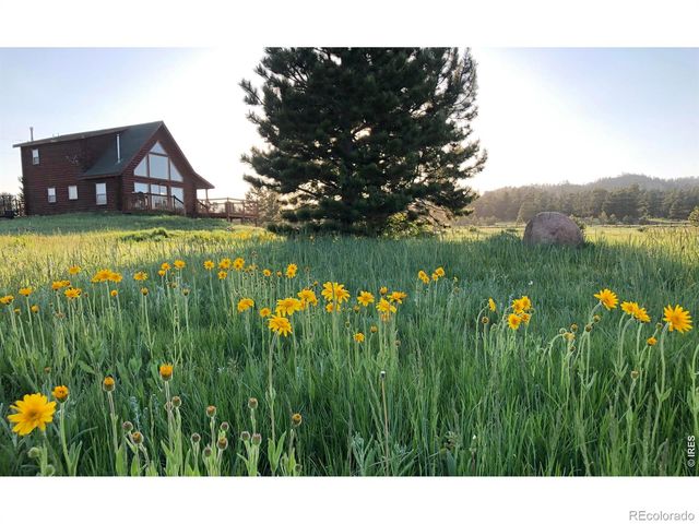 120 N Cucharas Mountain Court, Livermore, CO 80536