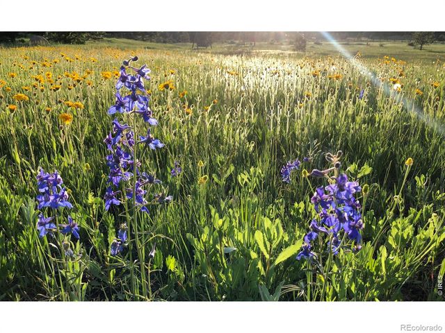120 N Cucharas Mountain Court, Livermore, CO 80536