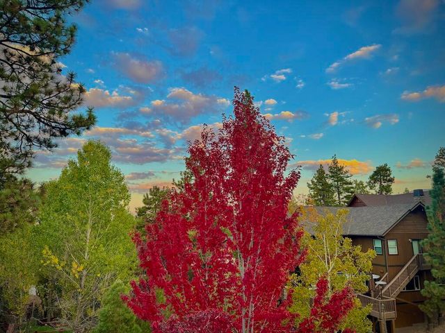 385 Sunrise Way, Big Bear, CA 92315