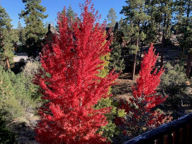 385 Sunrise Way, Big Bear, CA 92315