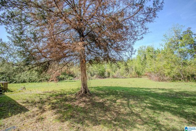 1111 SILVER RUN ROAD, Munford, AL 36268