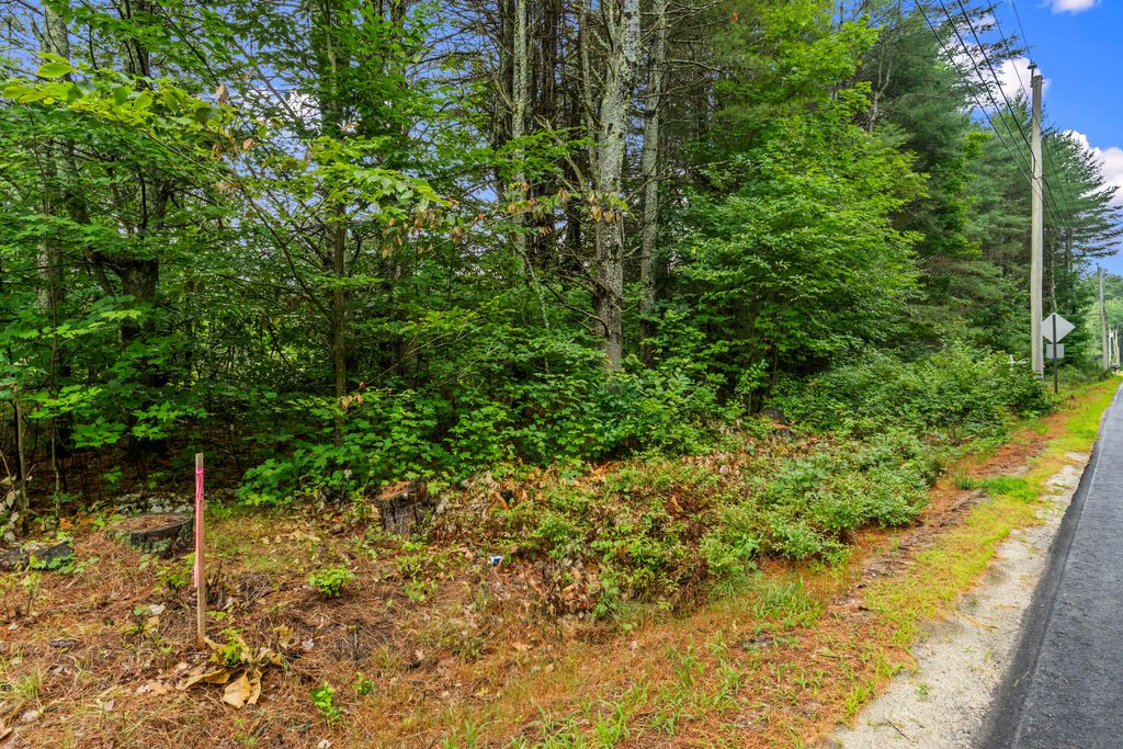 Lot 3 Clarks Mills Road, Dayton, ME 04005 — photo 5
