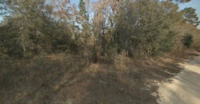 NE 65TH STREET, Williston, FL 32696