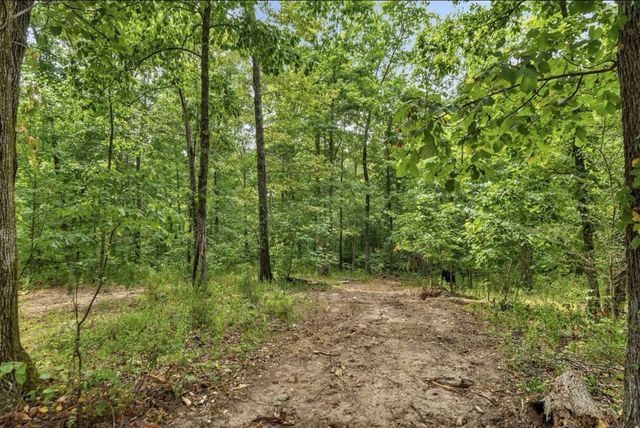 10498 Missionary Ridge Rd, Bon Aqua, TN 37025