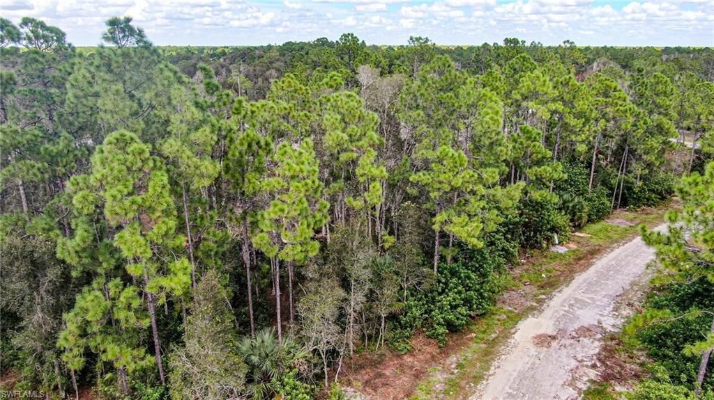 511 Ladd ST, LEHIGH ACRES, FL 33974 — photo 3