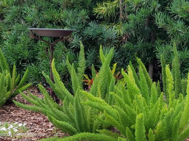 8349 KIM Road, Jacksonville, FL 32217