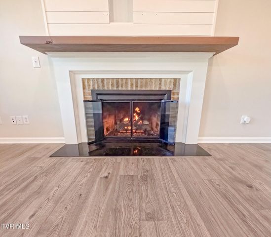 171 Flourville Rd, Gray, TN 37615