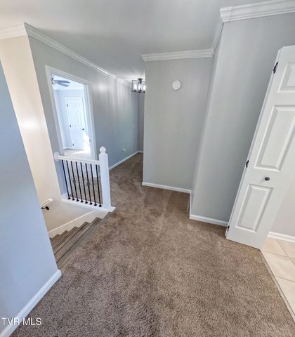 171 Flourville Rd, Gray, TN 37615