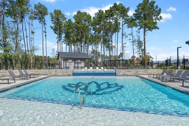 4521 Nevada Falls Drive, Conroe, TX 77303