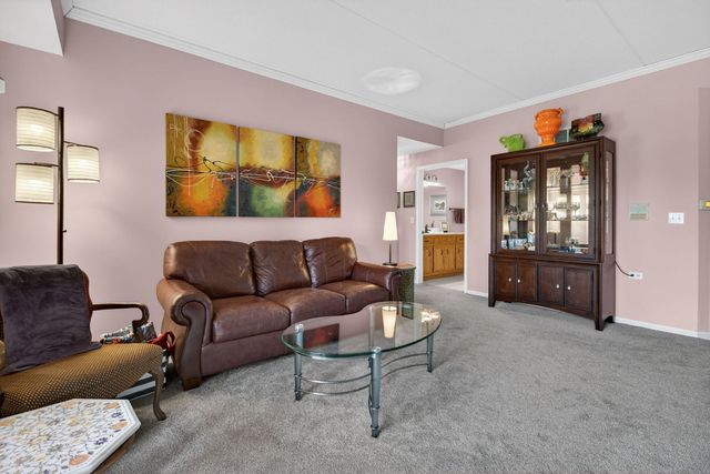 6420 Pine Trail Lane 1, Tinley Park, IL 60477