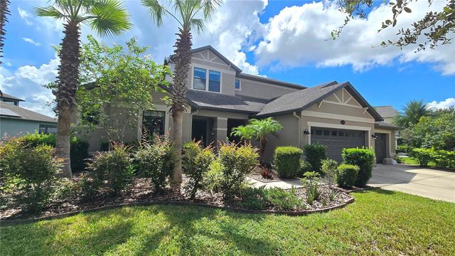 10619 MISTFLOWER LANE, Tampa, FL 33647