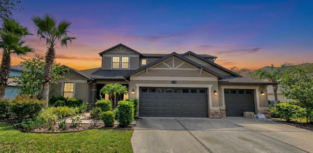 10619 MISTFLOWER LANE, Tampa, FL 33647