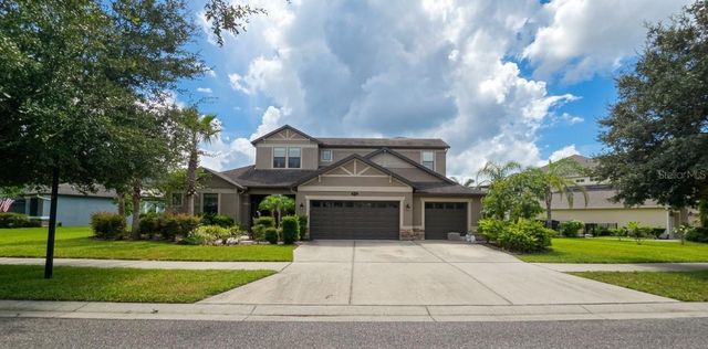 10619 MISTFLOWER LANE, Tampa, FL 33647