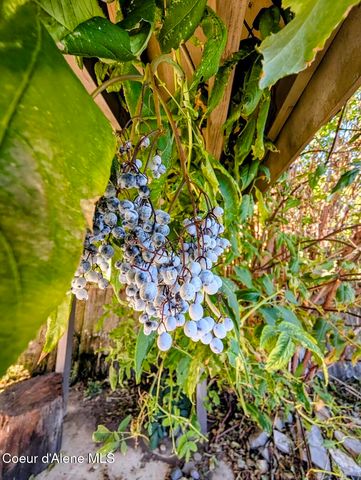 6857 Westview Dr, Bonners Ferry, ID 83805