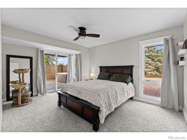 6655 Rodney Street, Windsor, CO 80550