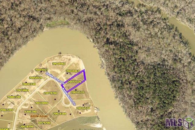 18475 Amite Acres Dr, Prairieville, LA 70769