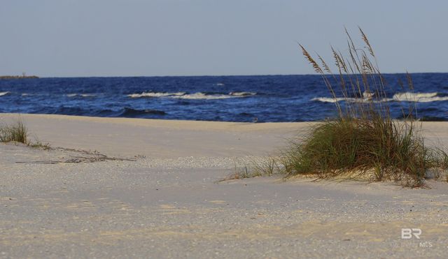 317 E Beach Boulevard 105C, Gulf Shores, AL 36542