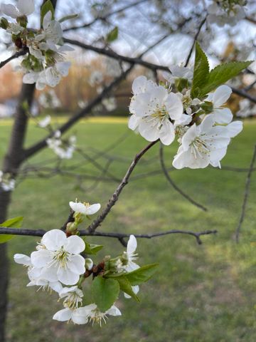 2992 N Tiffany Drive, La Porte, IN 46350