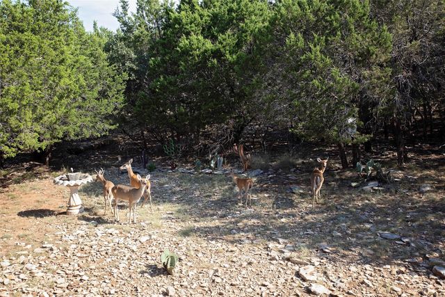 880 Cliffs Drive, Possum Kingdom Lake, TX 76449