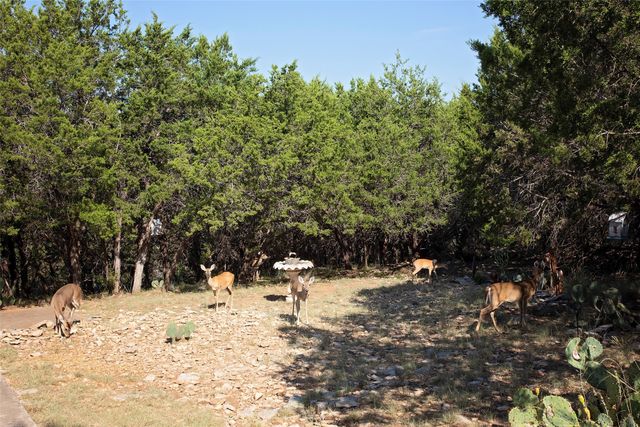880 Cliffs Drive, Possum Kingdom Lake, TX 76449