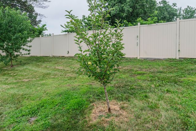 2102 SPECK CT, Columbia, MO 65202