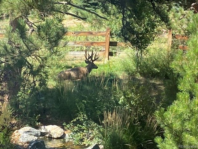 6735 S Catawba Way, Aurora, CO 80016