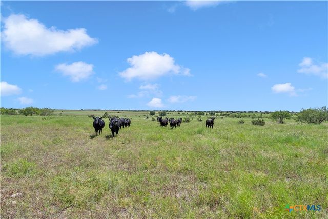 11064 County Road 210, Bertram, TX 78605