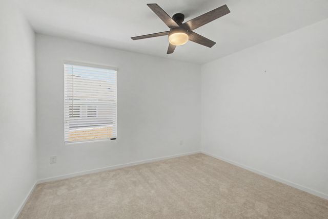 6732 Bramblewood Drive, Princeton, TX 75407