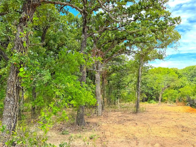 TBD C Turpin Lake Road, Poolville, TX 76487