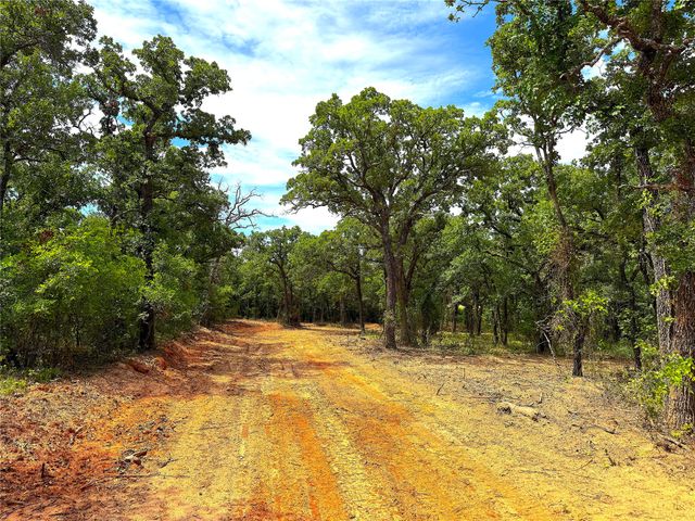 TBD C Turpin Lake Road, Poolville, TX 76487
