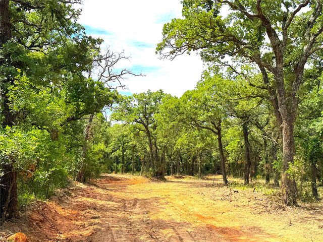 TBD C Turpin Lake Road, Poolville, TX 76487